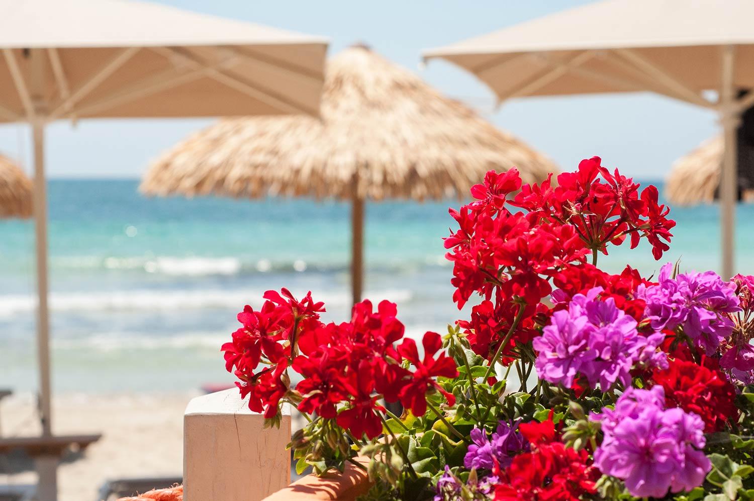 Conchiglia Azzurra Resort & Beach Порто-Чезарео Экстерьер фото